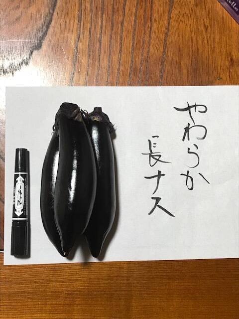 産直】サントリー 本気野菜 ナス たくさん中長ナス 4号15ポット
