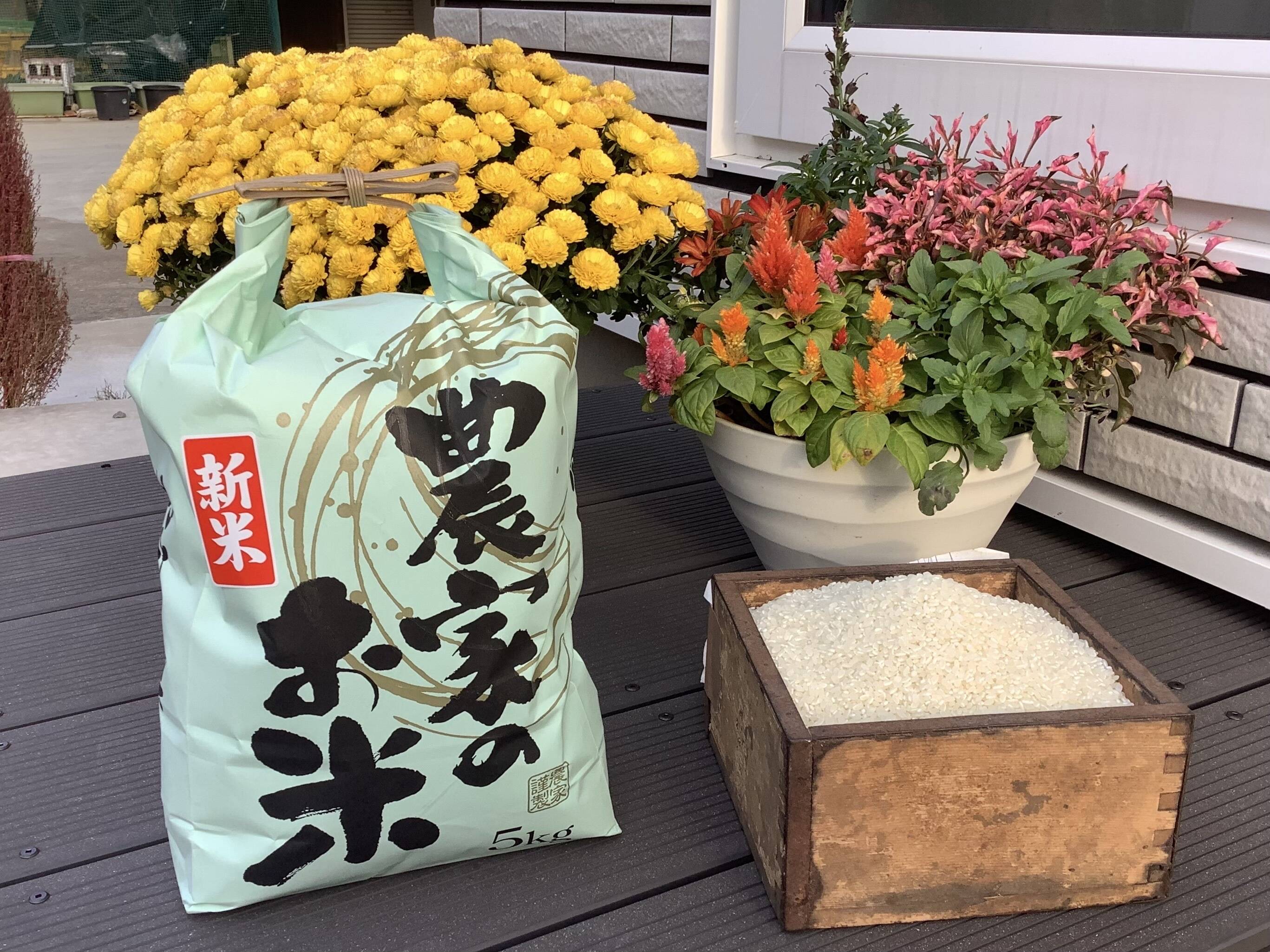 令和7年　茨城県産　玄米 約25kg お米　米 令和7年新米】コシヒカリ🌾【玄米約10㎏】栄養たっぷり❗️茨城産1等米