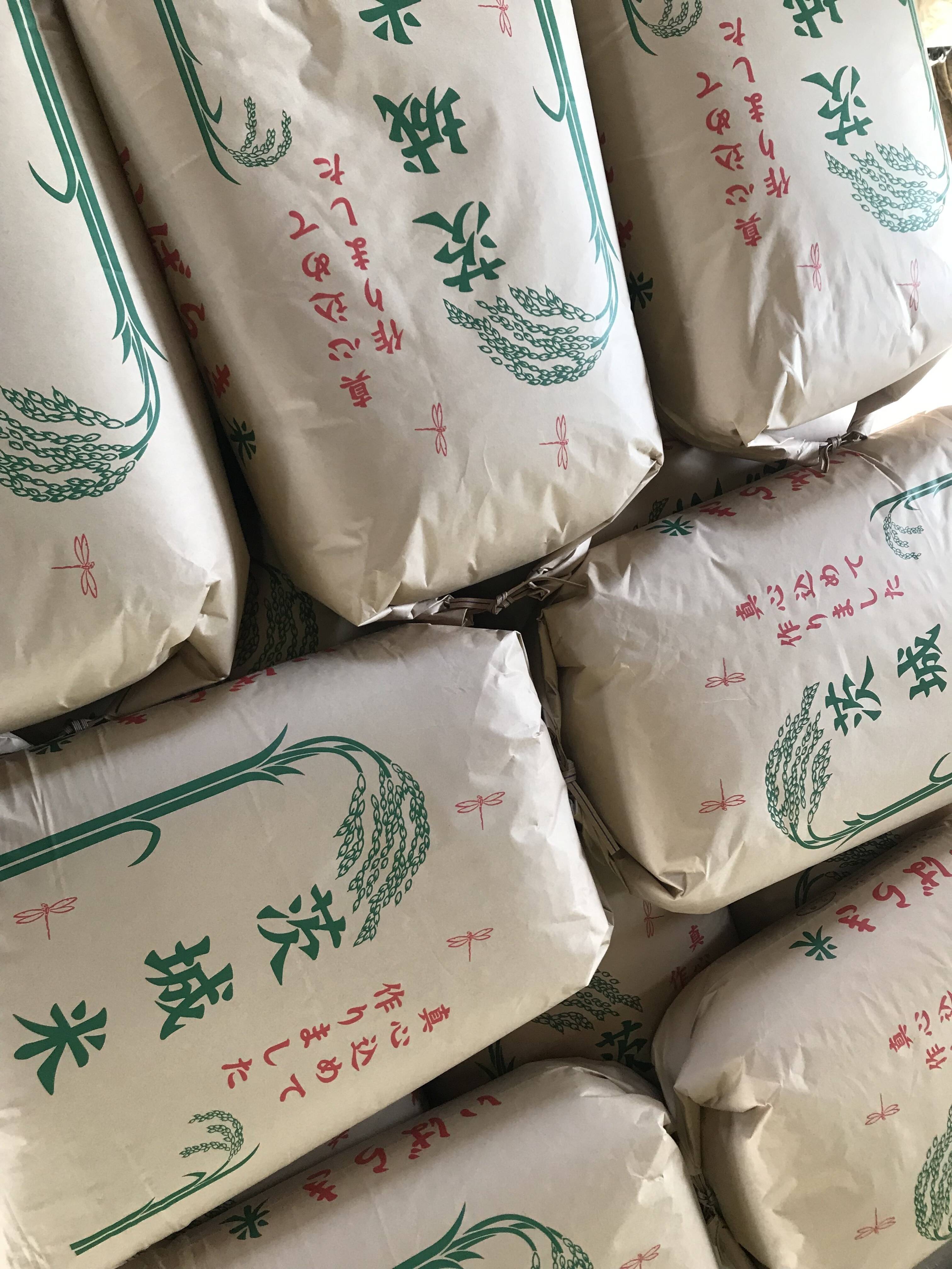 ☆茨城県 常総市産 R6年度新米コシヒカリ☆