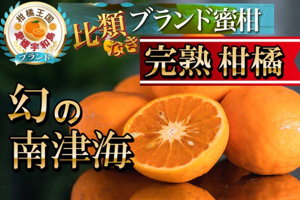 🍊圧倒的糖度二桁オーバー🍊鼻の奥まで突き抜ける爽やかな高酸高
