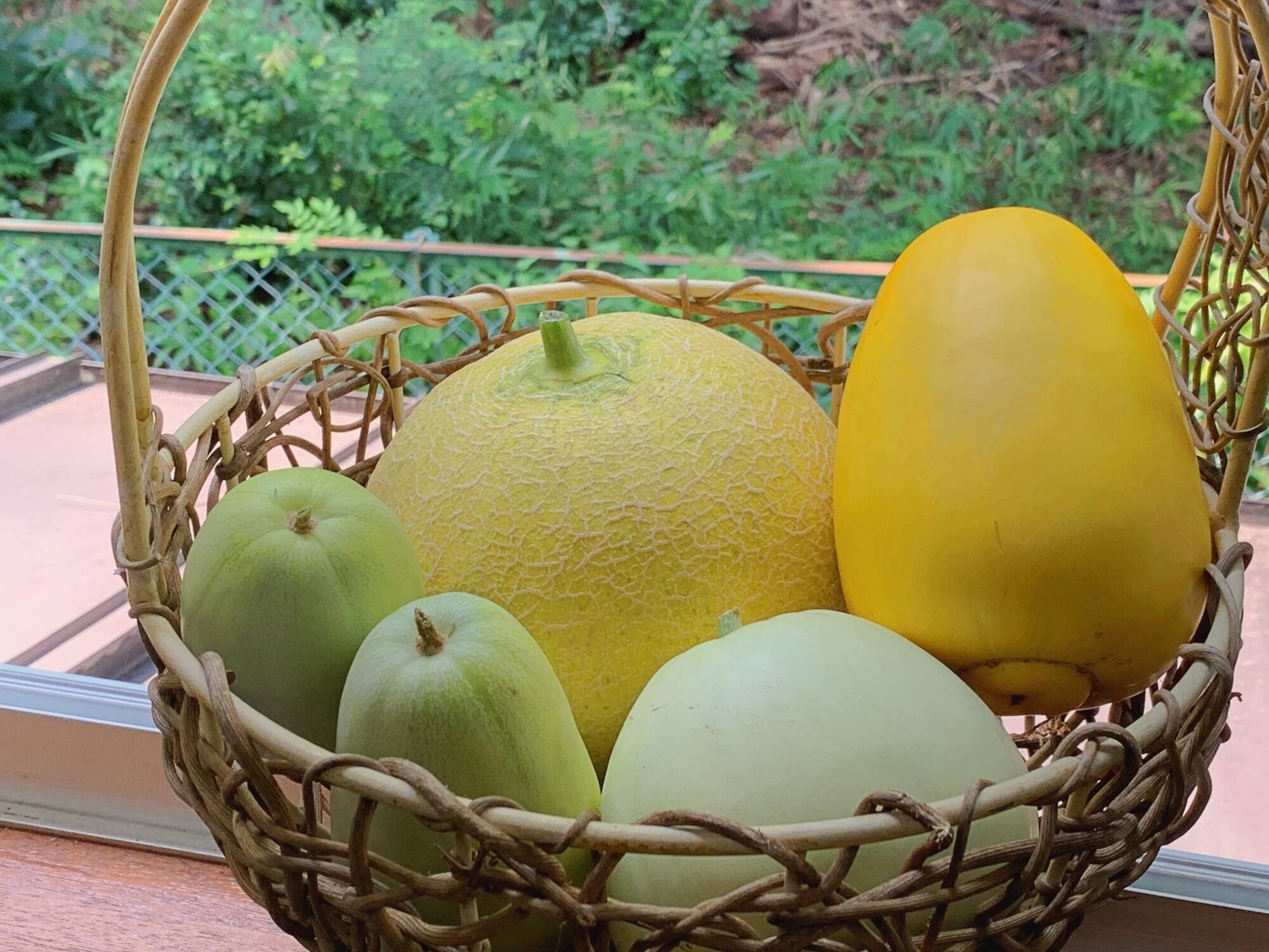 自然栽培】固定種メロン4品種セット 4kg以上☆農薬・肥料不使用｜食べ