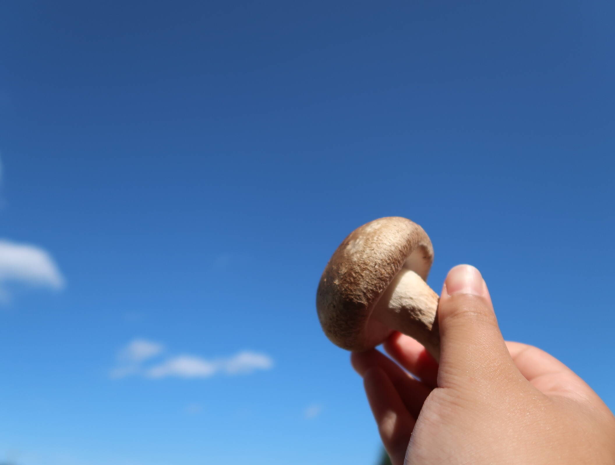 da3467f991f6eafd5bc058ddc2193c