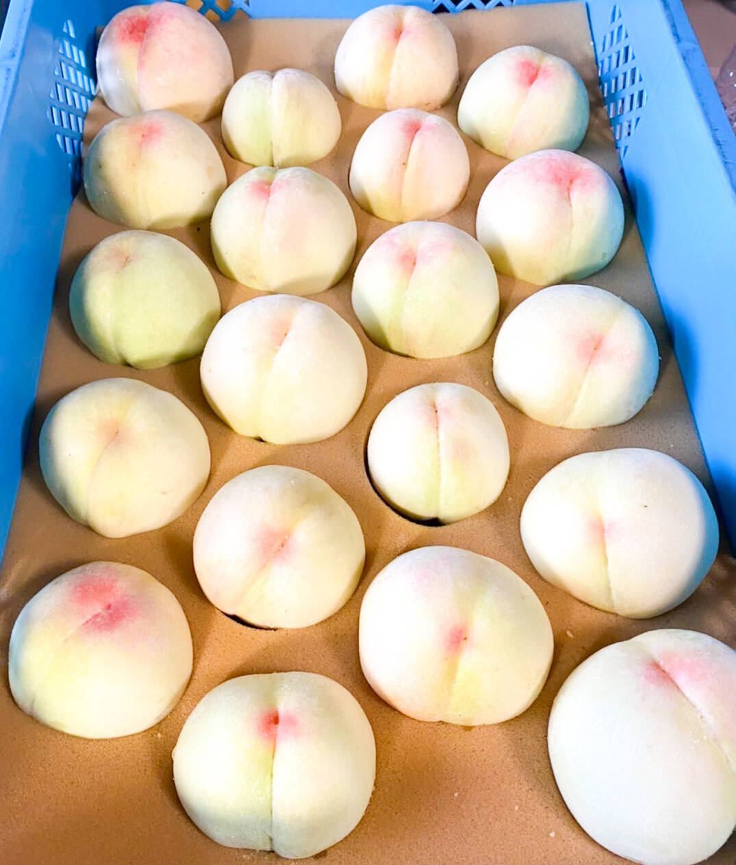 信州産　秋明菊桃色・白　joy様　ご確認用です♪ 信州産 秋明菊桃色・白 joy様 ご確認用です♪ 信州産秋明菊桃色・白joy