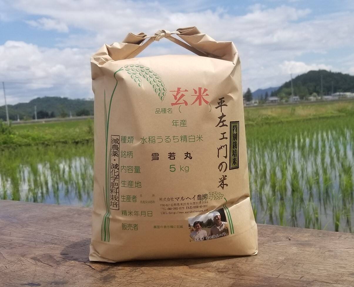 米農家直送】山形県産 雪若丸 20kg 【送料無料】白米or玄米 選べ 米農家直送】山形県産 雪若丸 20kg 【送料無料】白米or玄米 選べ
