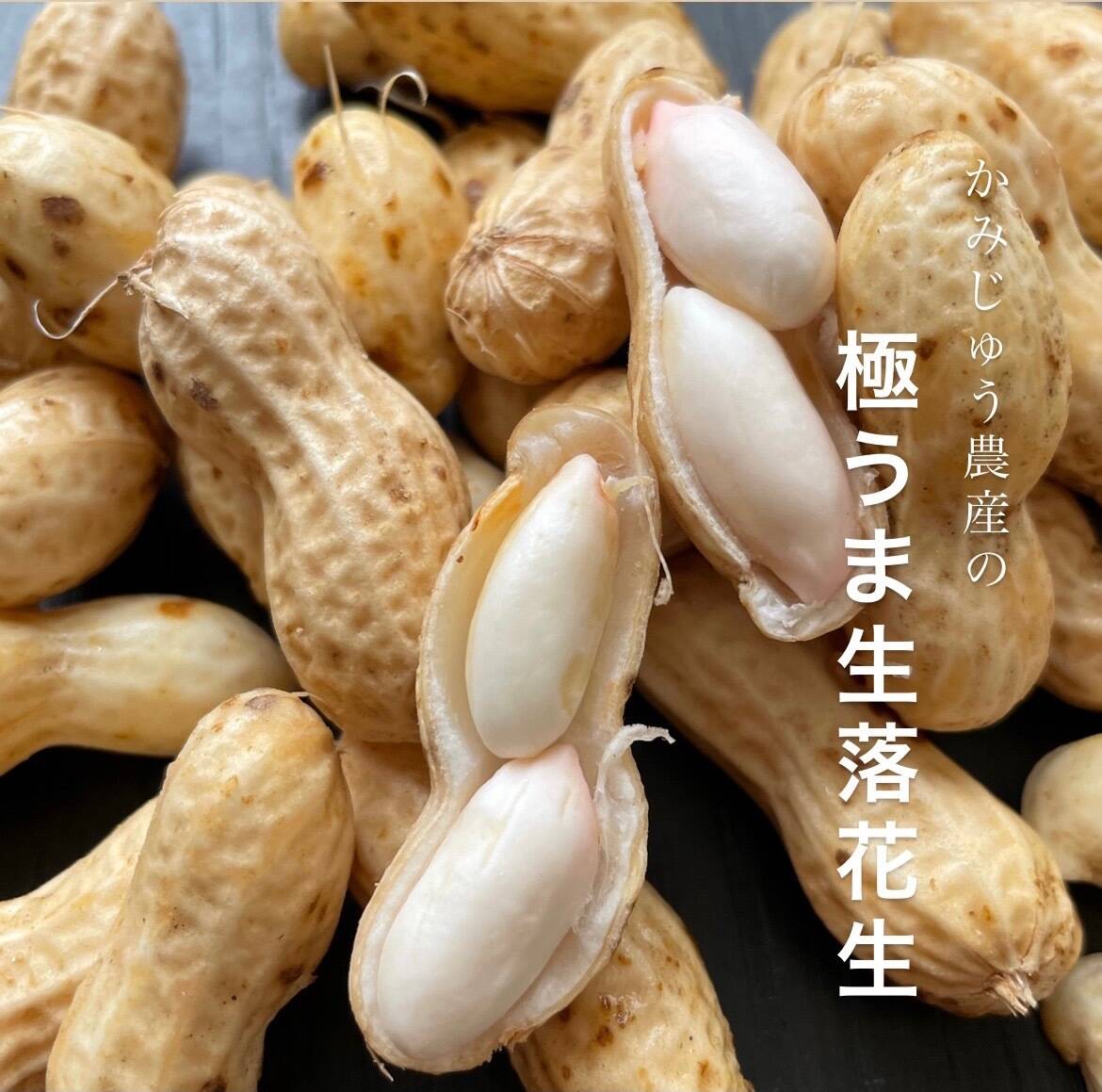 限定 やみつき生極うま生落花生 塩ゆで専用 1kg 愛知県産の落花生 ピーナッツ 食べチョク 産地直送 産直 お取り寄せ通販 農家 漁師から旬の食材を直送