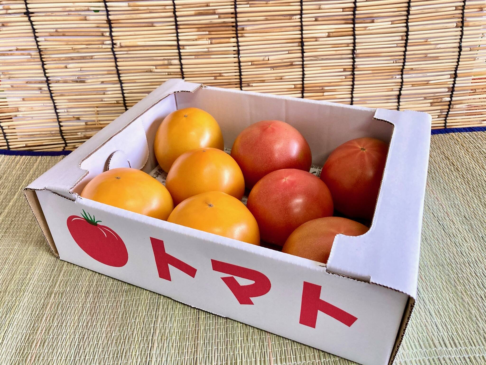 桃太郎ゴールド　予約ページ 見た目鮮やか！2色の桃太郎トマトセット(2kg)：千葉県産の桃太郎