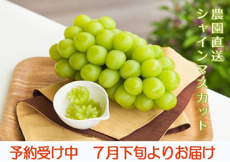 da9a85f9a1c002974f90fc8199f949
