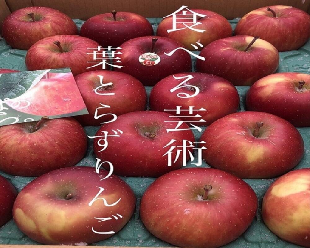 園主一押し!味をとことん突き詰めた青森りんご、“葉とらずサン