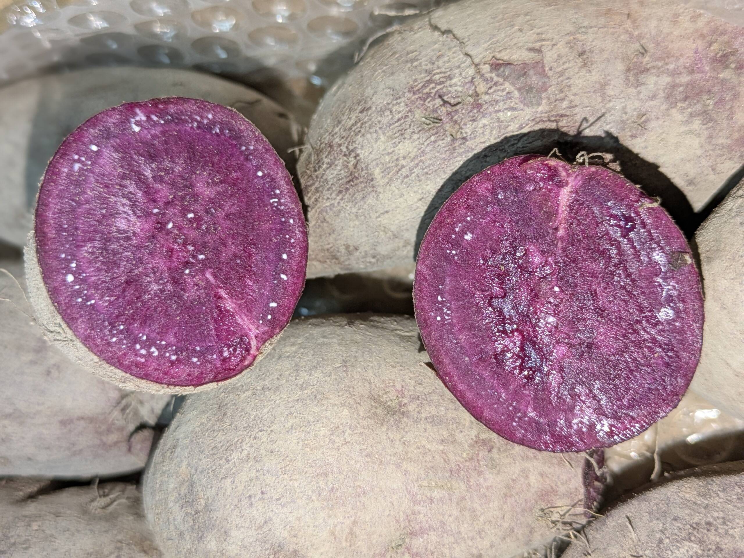訳あり】鮮やかな紫色 紫芋 4kg以上 （あやむらさき）：福岡県産の