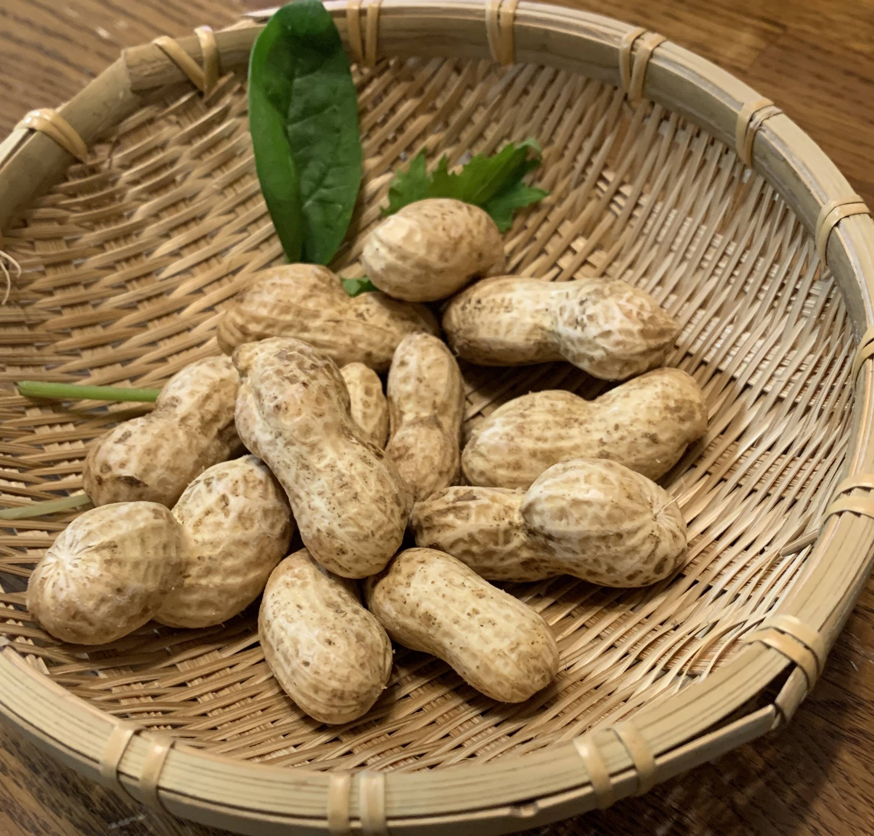 おおまさりネオ】千葉県産 生落花生！極大粒で2Kg 新豆2025年
