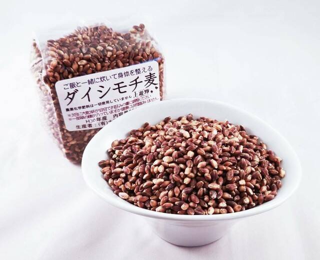 【送料お得】ダイシモチ５㎏《農薬化学肥料一切不使用栽培のモチ麦》：富山県産の麦｜食べチョク｜産地直送(産直)お取り寄せ通販 -  農家・漁師から旬の食材を直送