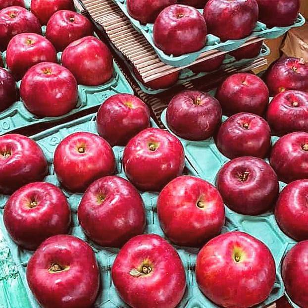 甘酸っぱくてお菓子作りに最適なりんご 紅玉 4.5㎏：青森県産のその他りんご｜食べチョク｜産地直送(産直)お取り寄せ通販 -  農家・漁師から旬の食材を直送