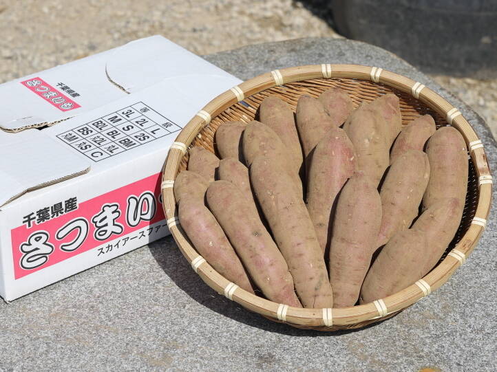 ララルルさん専用　千葉県産　べにはるか　さつまいも　約20㎏ ②ララルルさん専用 2月28日 千葉県産 べにはるか サツマイモ 40