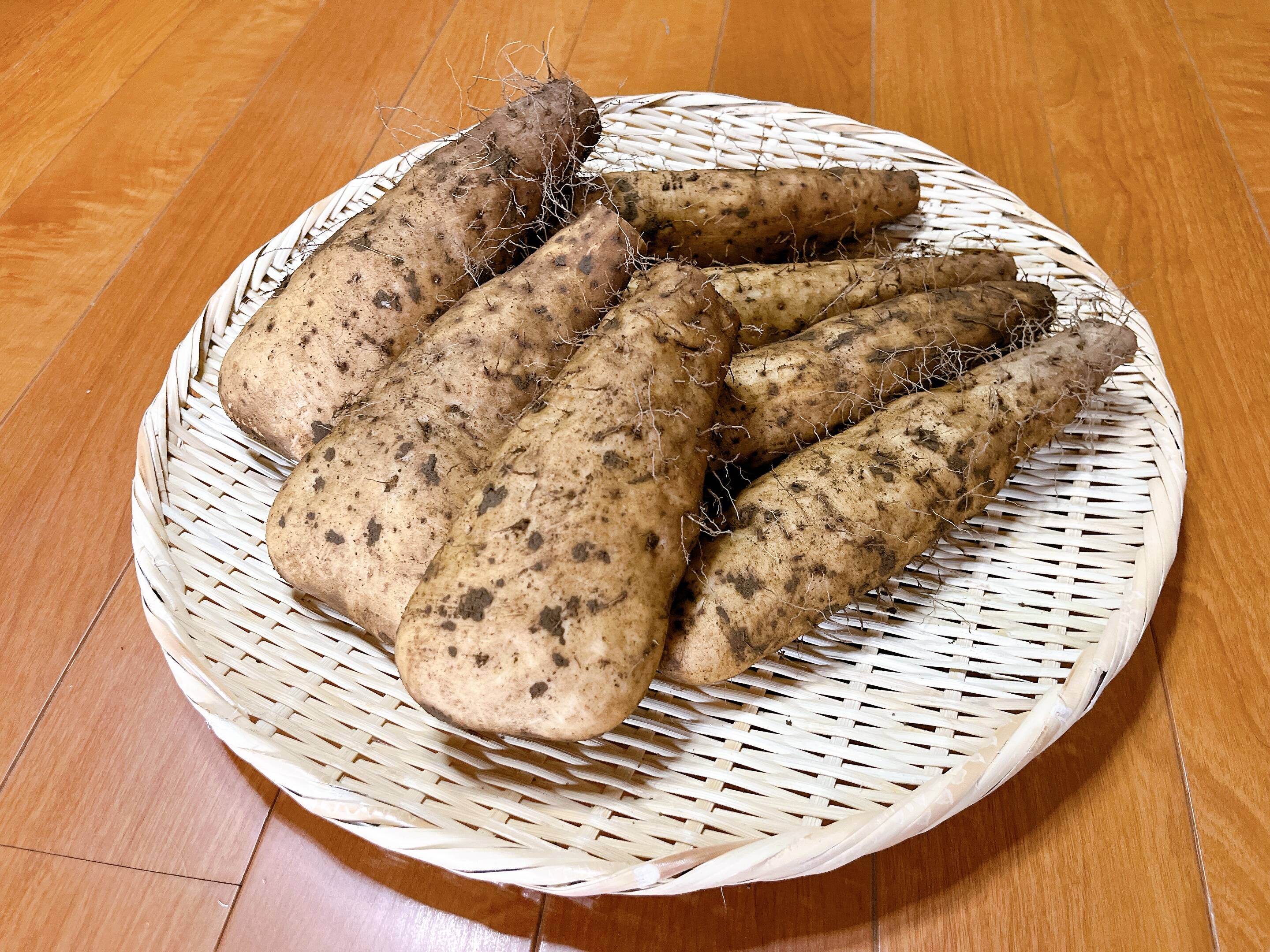 粘りが違う大和芋 農林水産大臣賞受賞‼️ 4Kg：埼玉県産の長芋