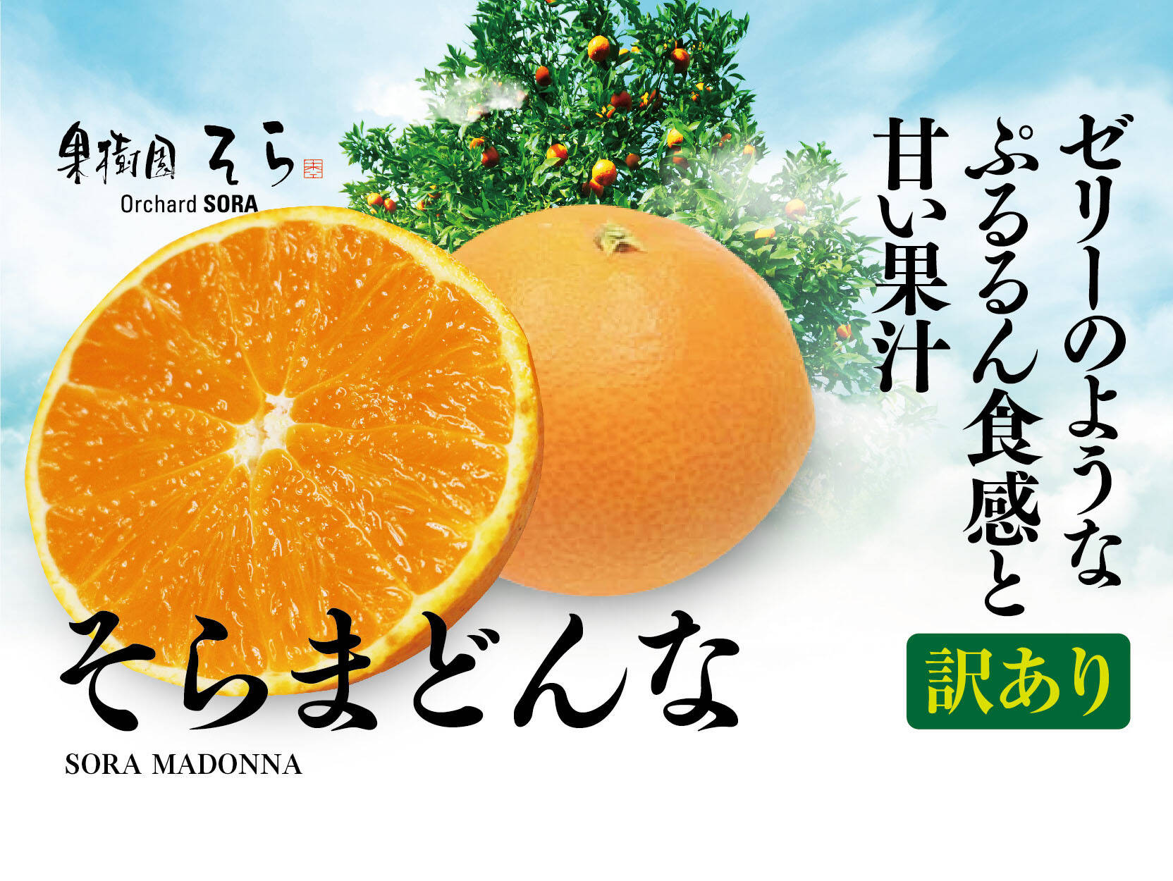 訳あり】そらまどんな 天空の果樹園 愛媛産まどんな 5kg：愛媛県産の