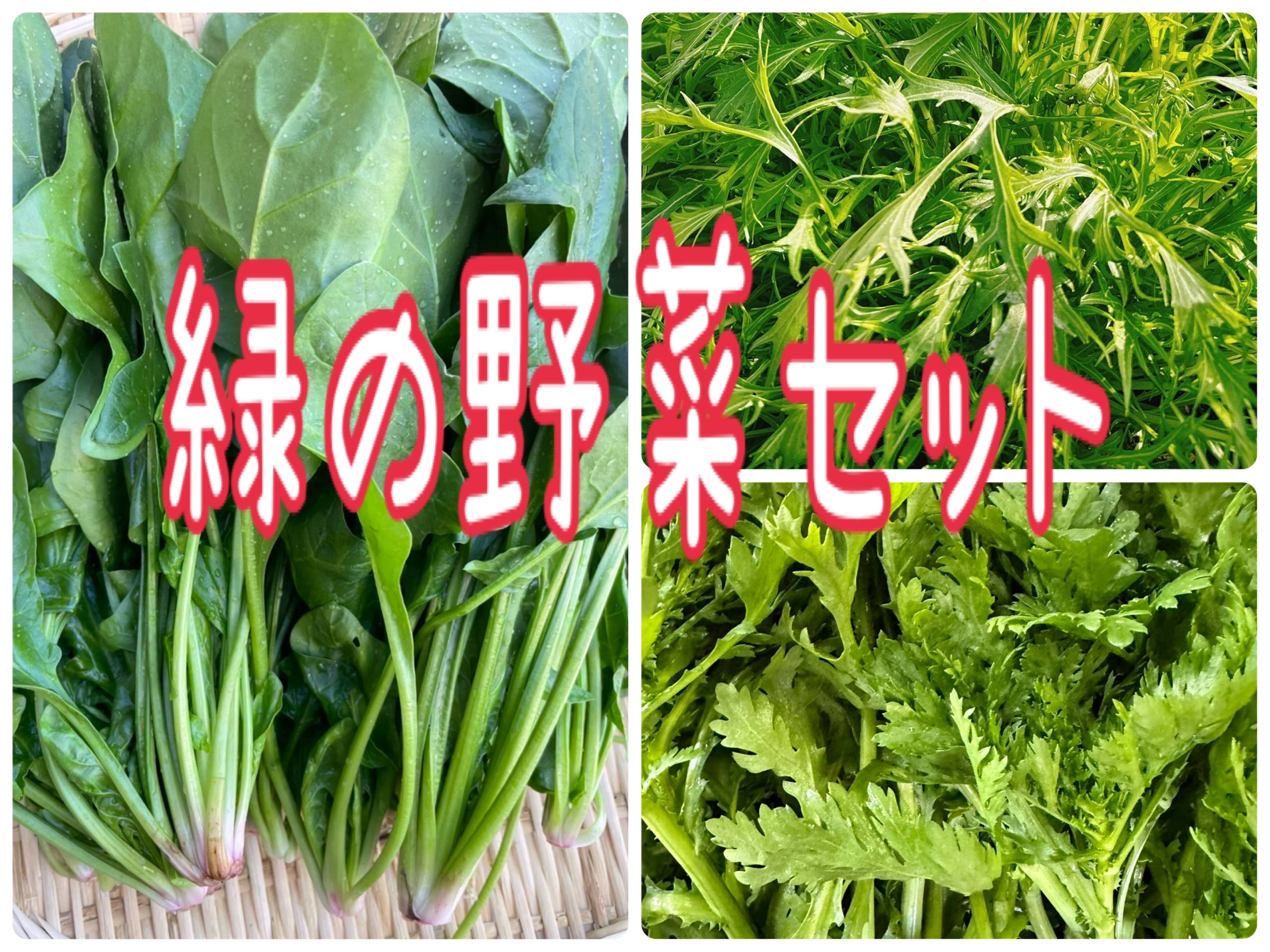 新商品‼️ほうれん草、春菊、水菜‼️緑のお野菜セット‼️各2袋ずつお