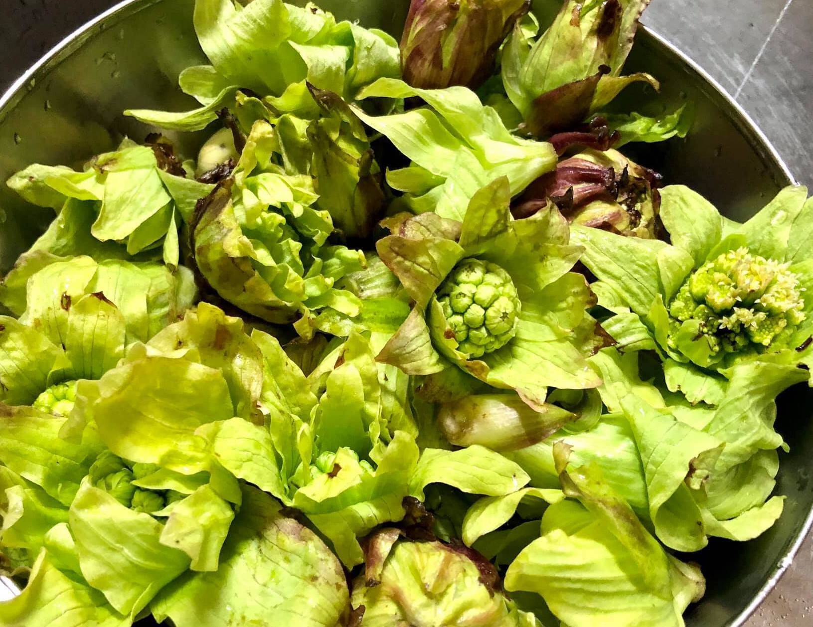 富山県産 ふきのとう つぼみ 200g - 野菜