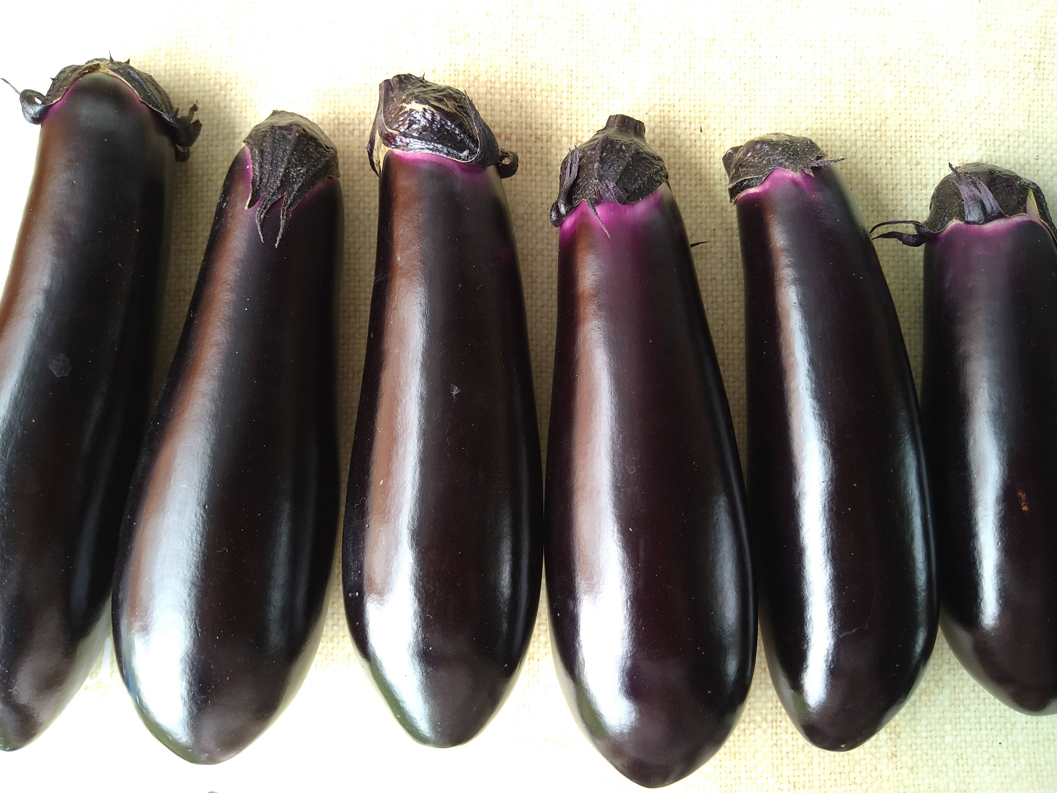 なす 固定種 真黒茄子」美味い中長なす 1kg：岡山県産のナス｜食べチョク