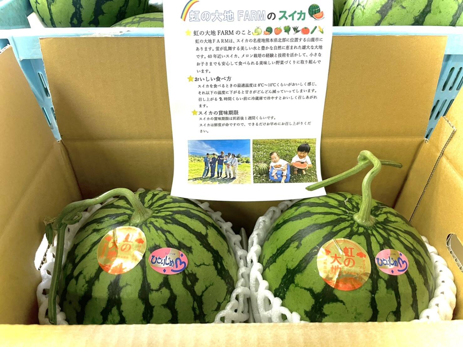 名産地熊本県よりお届け 小玉スイカ2玉入り 2kg前後 2 熊本県産の野菜 食べチョク 産地直送 産直 お取り寄せ通販 農家 漁師から旬の食材を直送