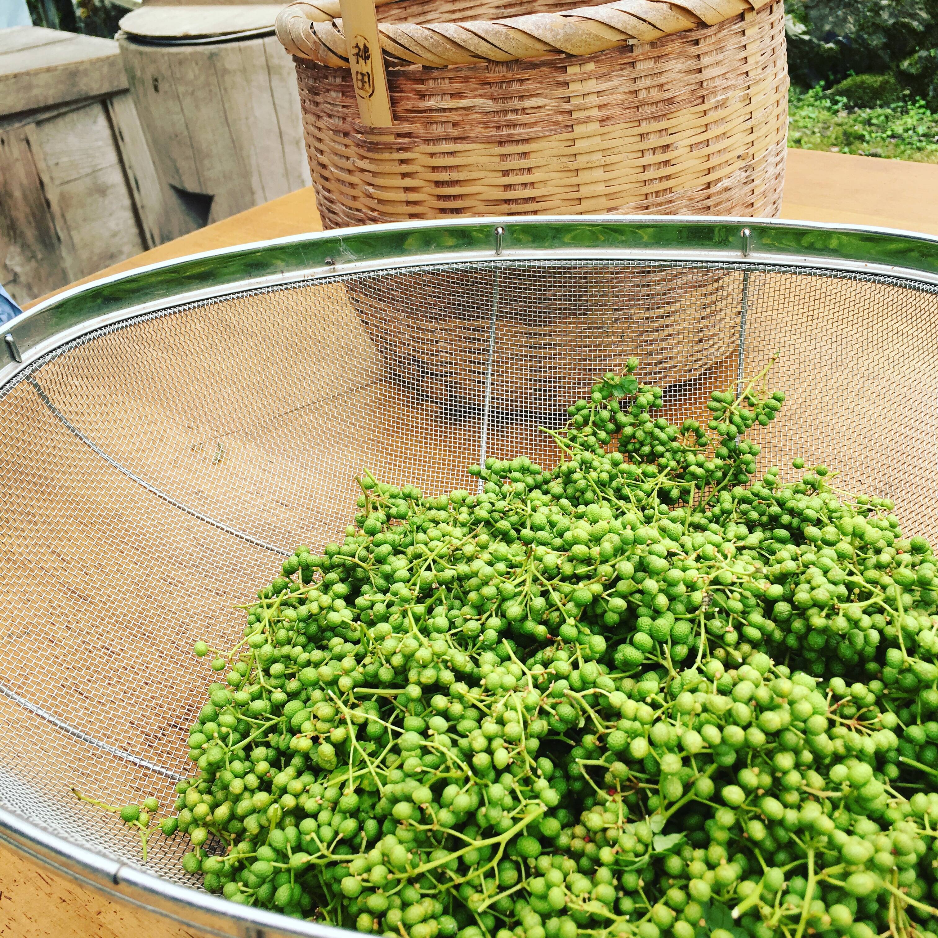 山椒の実 和カフェ様専用 山椒の実 300g 【公式通販】