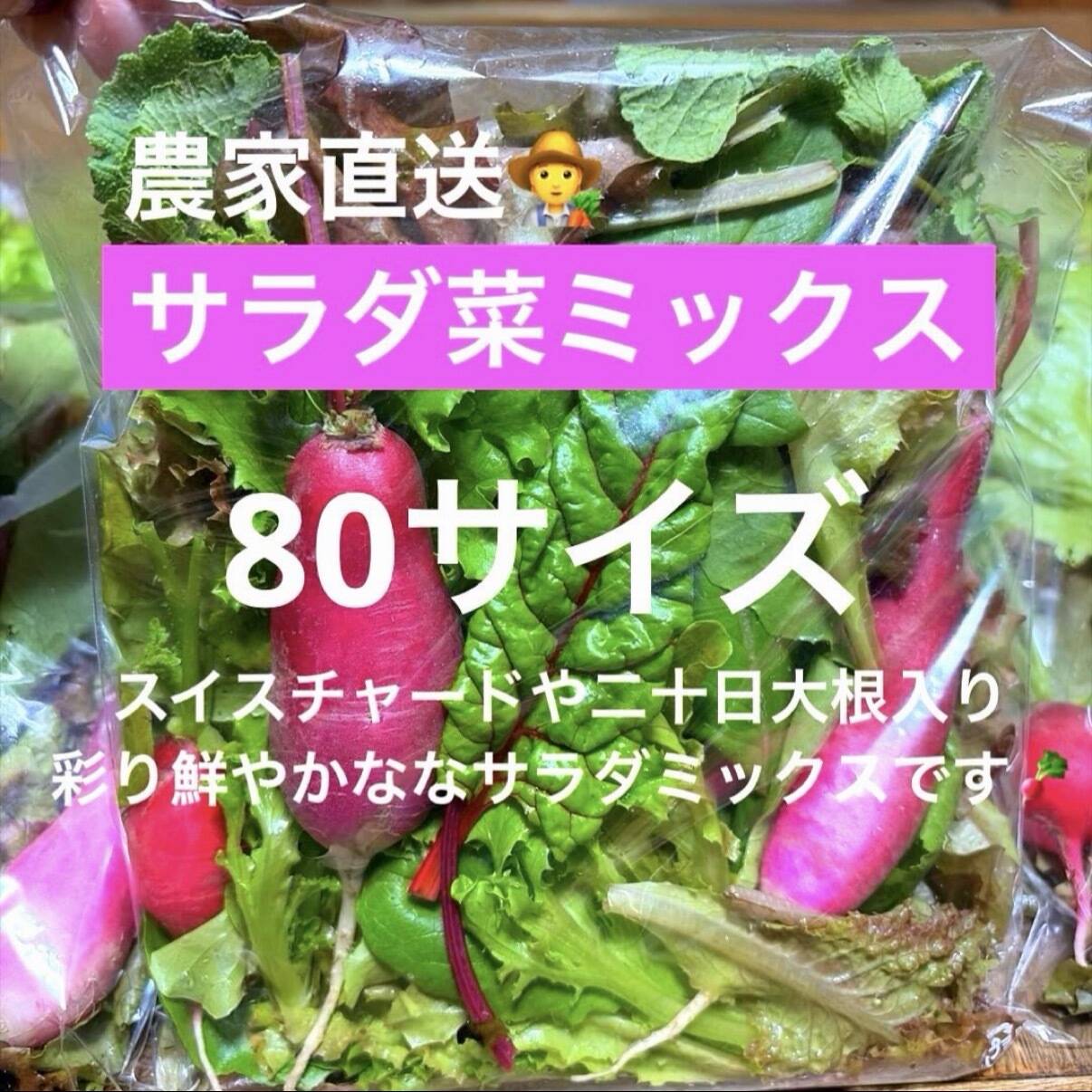 農家直送 サラダ菜ミックス 80サイズの箱いっぱい：埼玉県産のその他葉