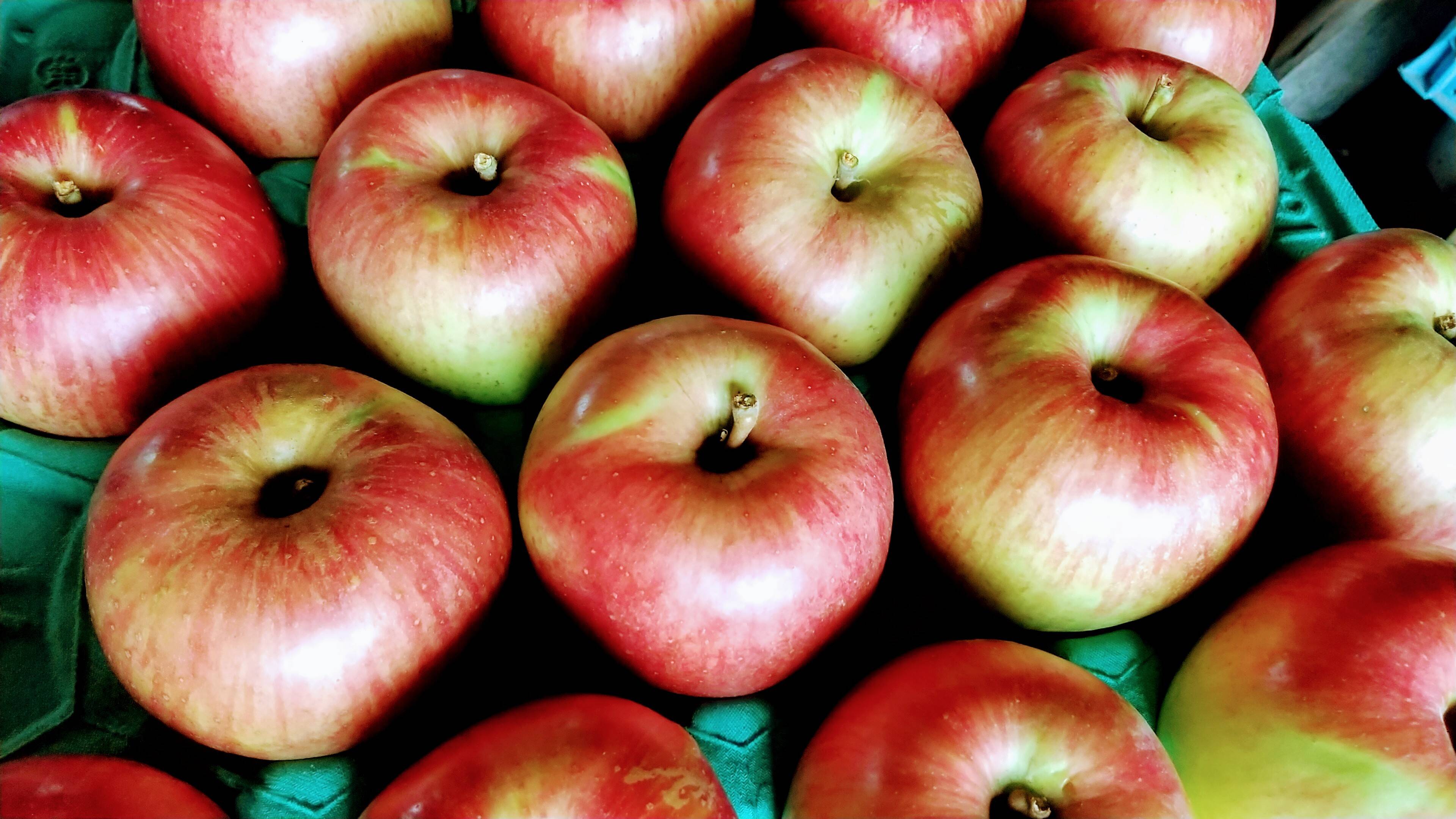本州宛配送限定　信州産　選べる家庭用 リンゴ約１５キロ 信州りんご🍎少量約1.5キロ(6～8個)：長野県産のふじ｜食べ