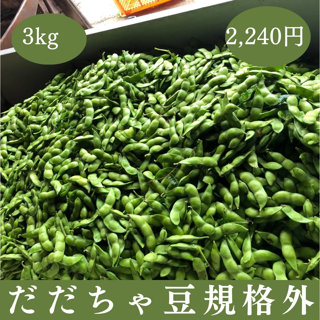 だだちゃ豆 規格外品 3kg 山形県 鶴岡市 特産 枝豆の王様 量り売り 