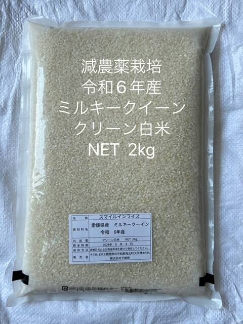 最終値下げ 2024新米 ミルキークイーン 2kg：愛媛県産のミルキークイーン 米・雑穀・粉類