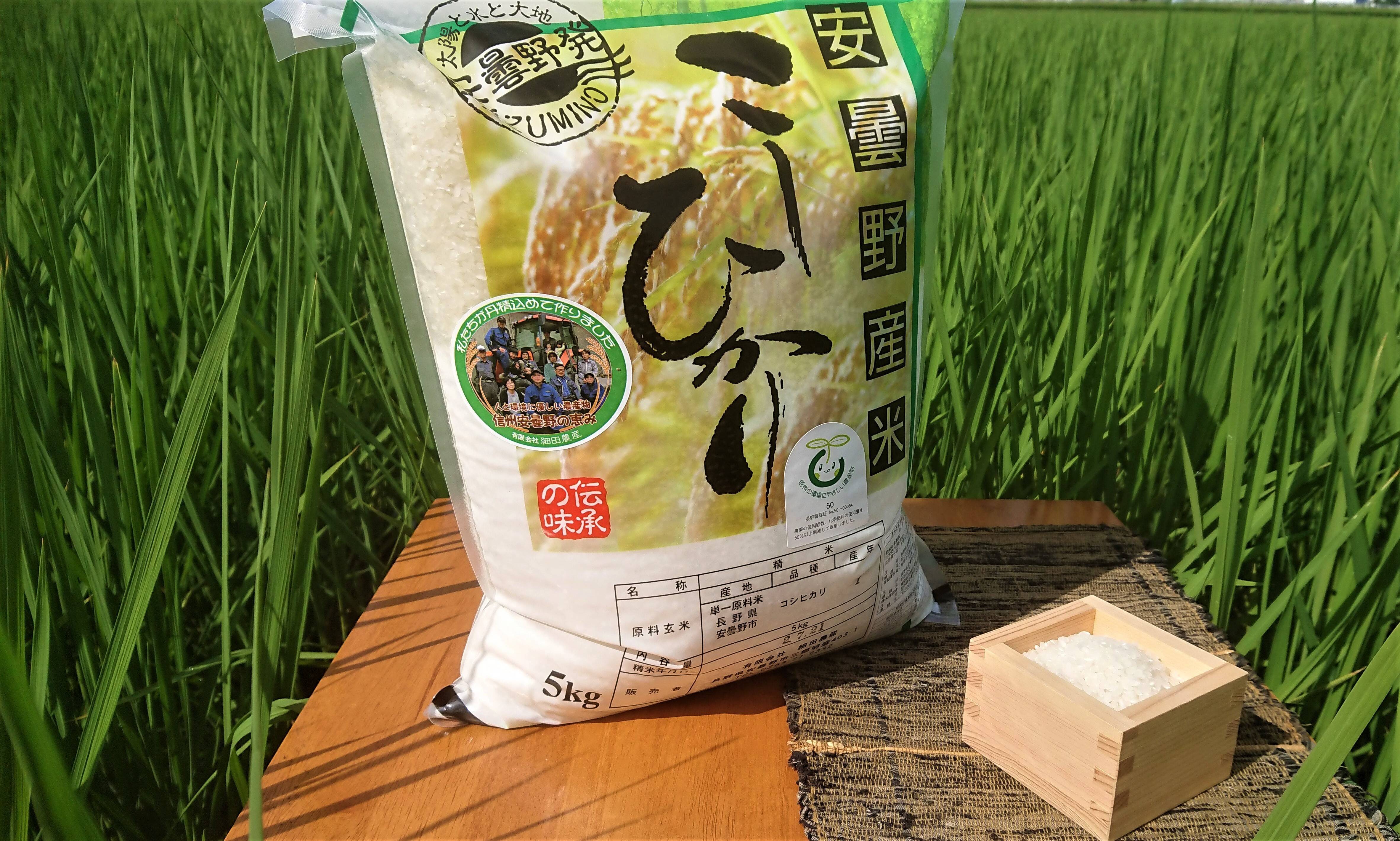 こしひかり 5kg ＊農家直送＊広島県産 - 米・雑穀・粉類