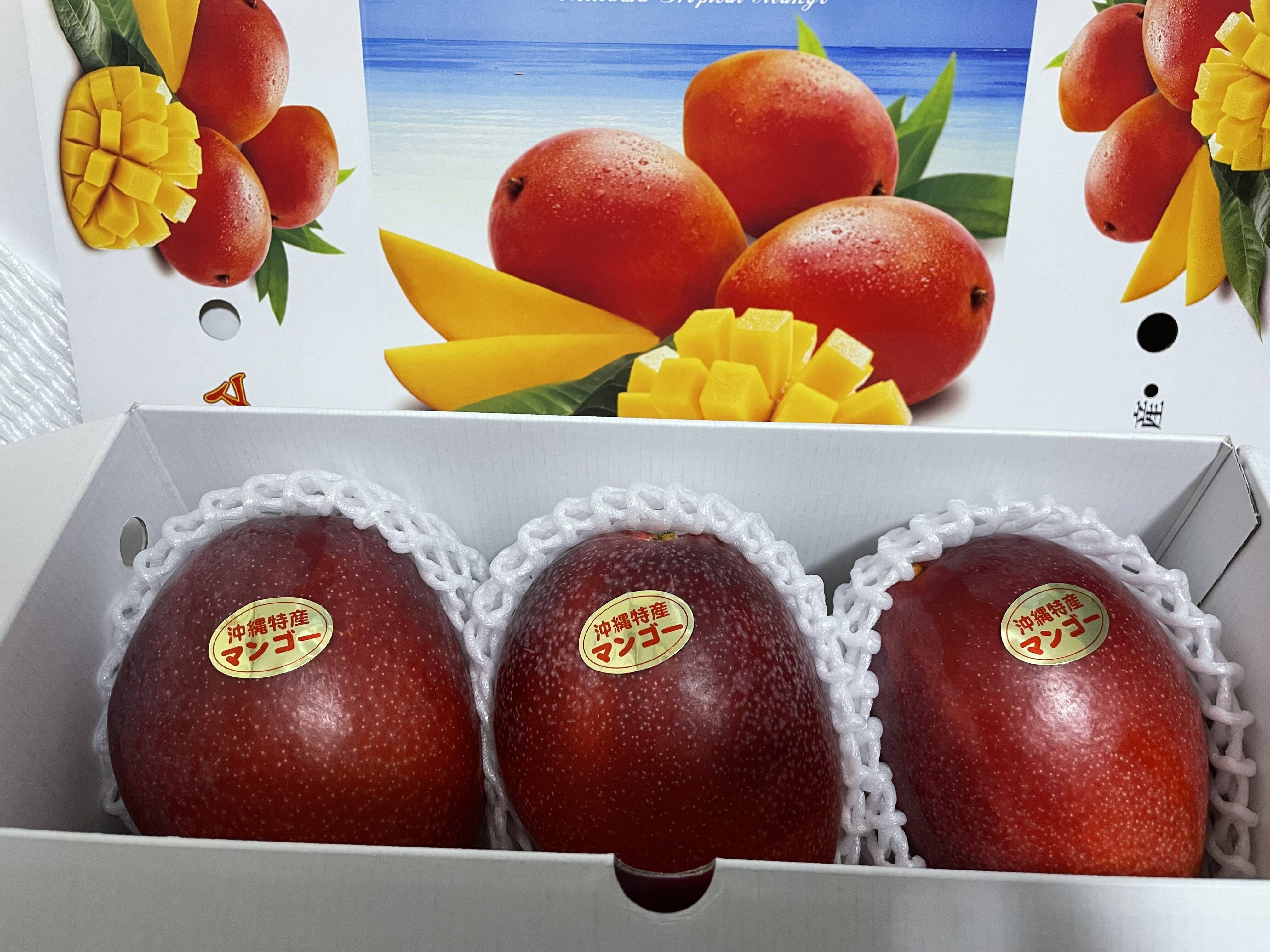 沖縄県産アップルマンゴー(3個入)：沖縄県産の果物｜食べチョク｜産地