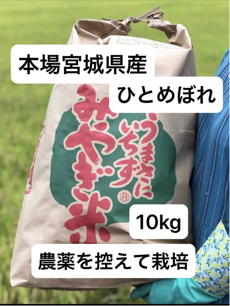 山口県産 ひとめぼれ 玄米 10kg 山口県産 ひとめぼれ 玄米 10kg