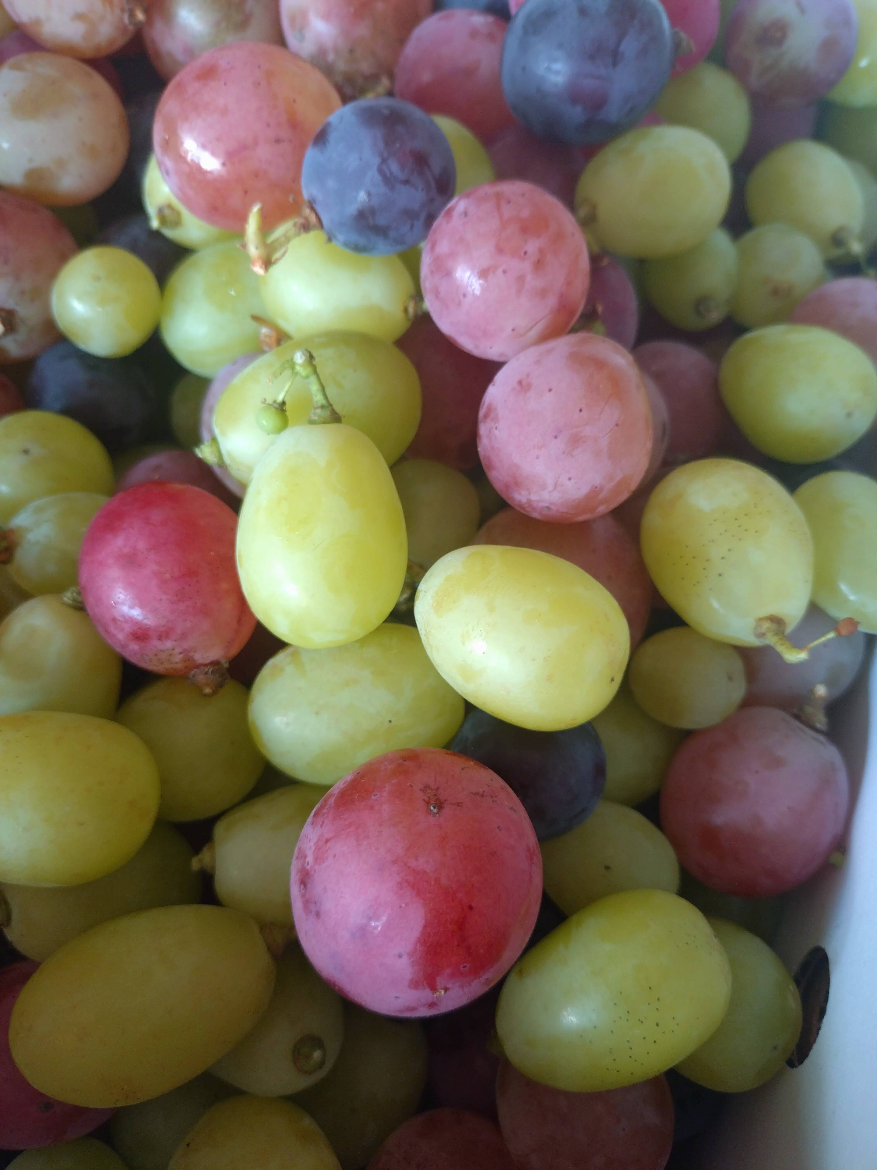 セノッピー ぶどう3つ ピーチ3つ 【公式通販】