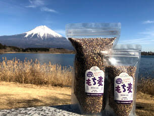 自家栽培　もち麦ダイシモチ15kg dd454e1c950ba9d56c08137e0d1676