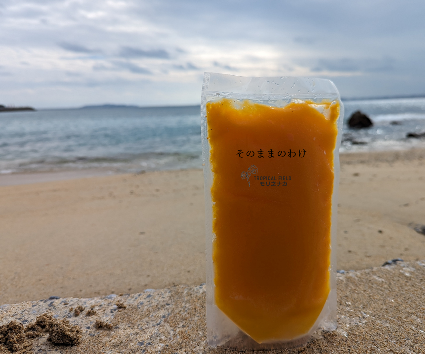 完熟マンゴーを使った完全無添加マンゴーピューレ1㎏（冷凍）500g×2袋