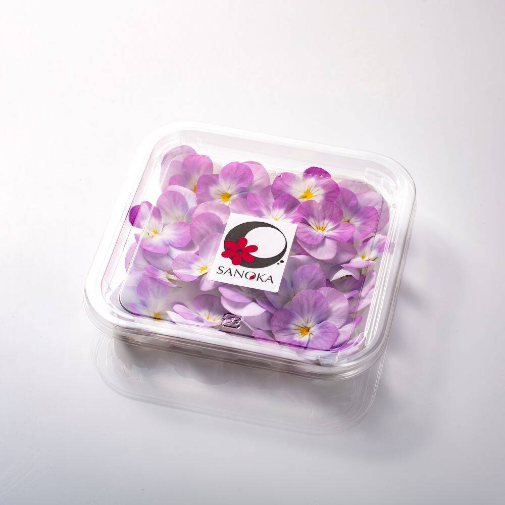 美食の演出！エディブルフラワー『SANOKA』ビオラ スーパーソフト