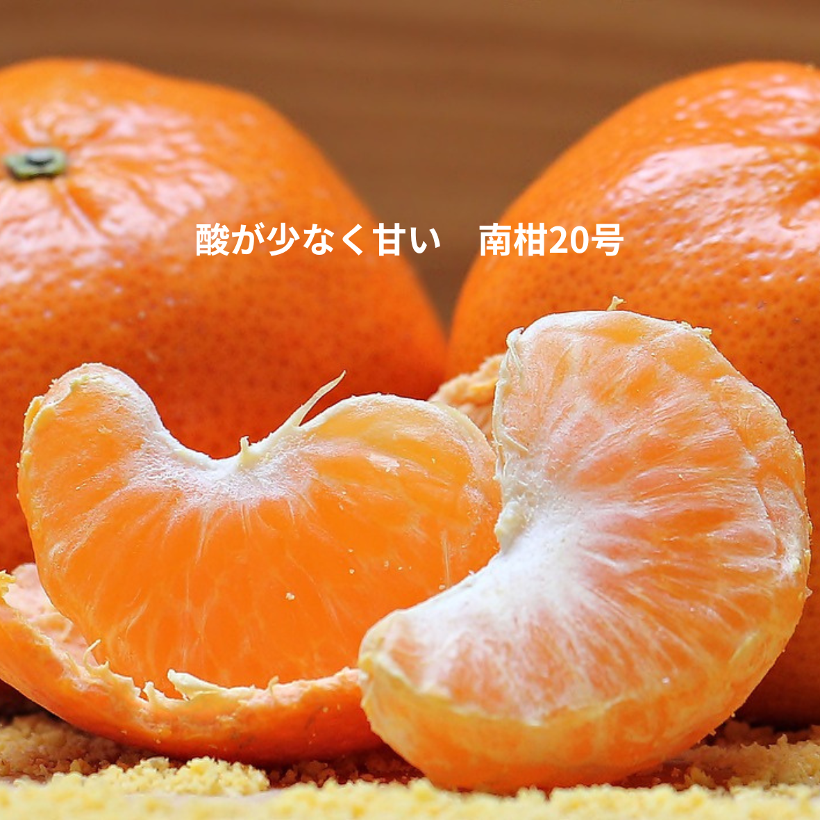冬ギフト】濃厚な味わい旬のちえみかん🍊（南柑20号）5㌔：愛媛県産