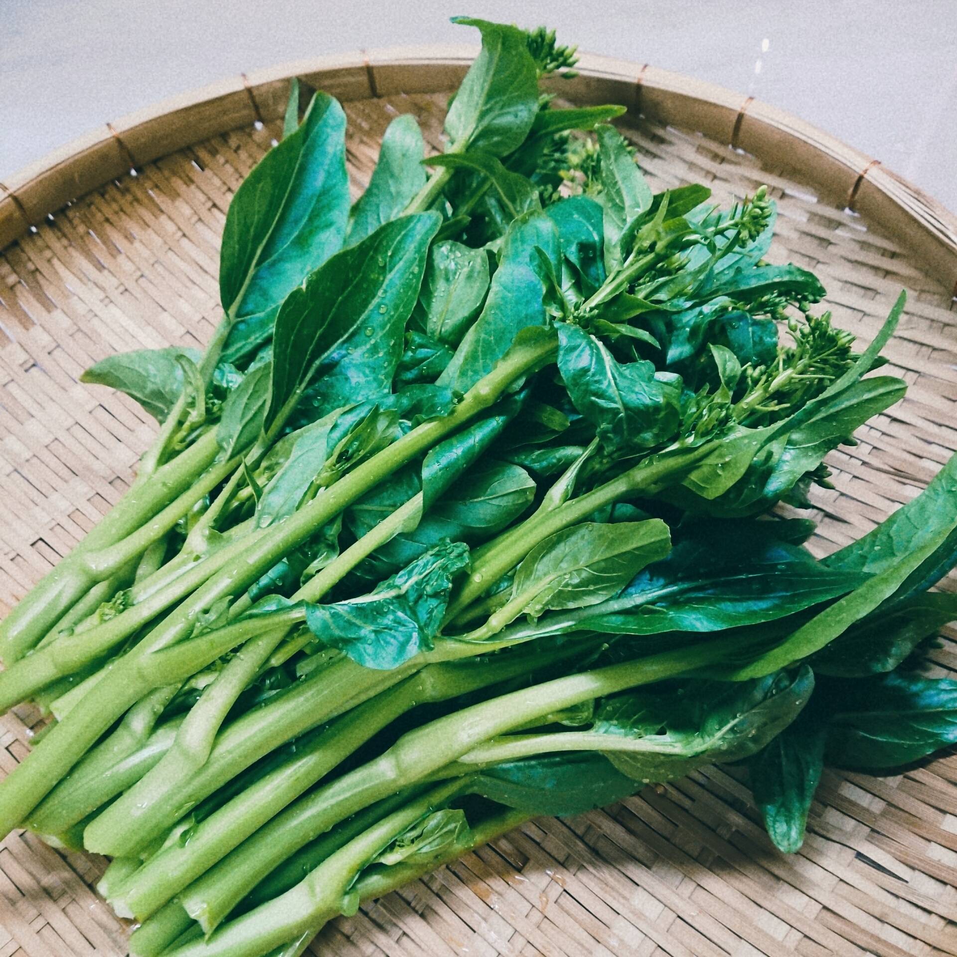 天然フキノトウ 500g強 無農薬野菜自然 春季節 ＊ - 野菜