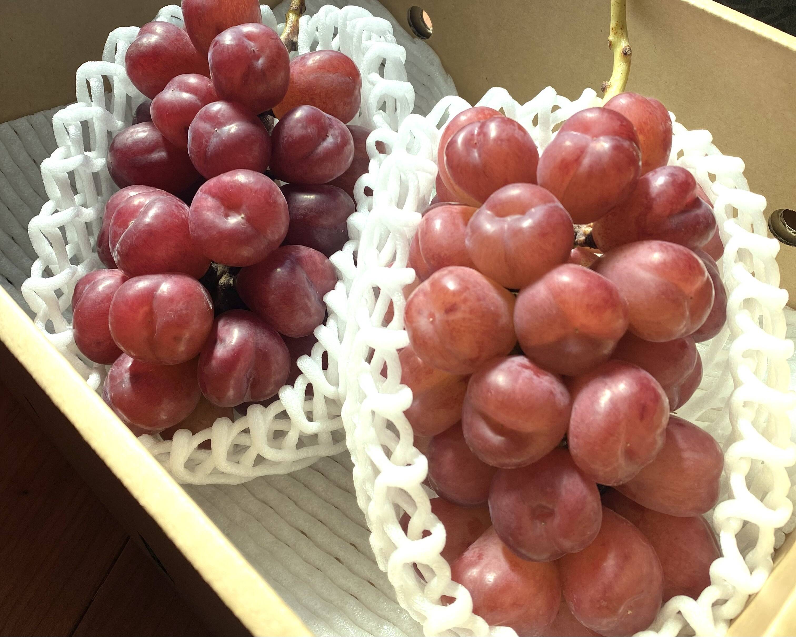 ddda562f32fea59d4b95183f9e6360