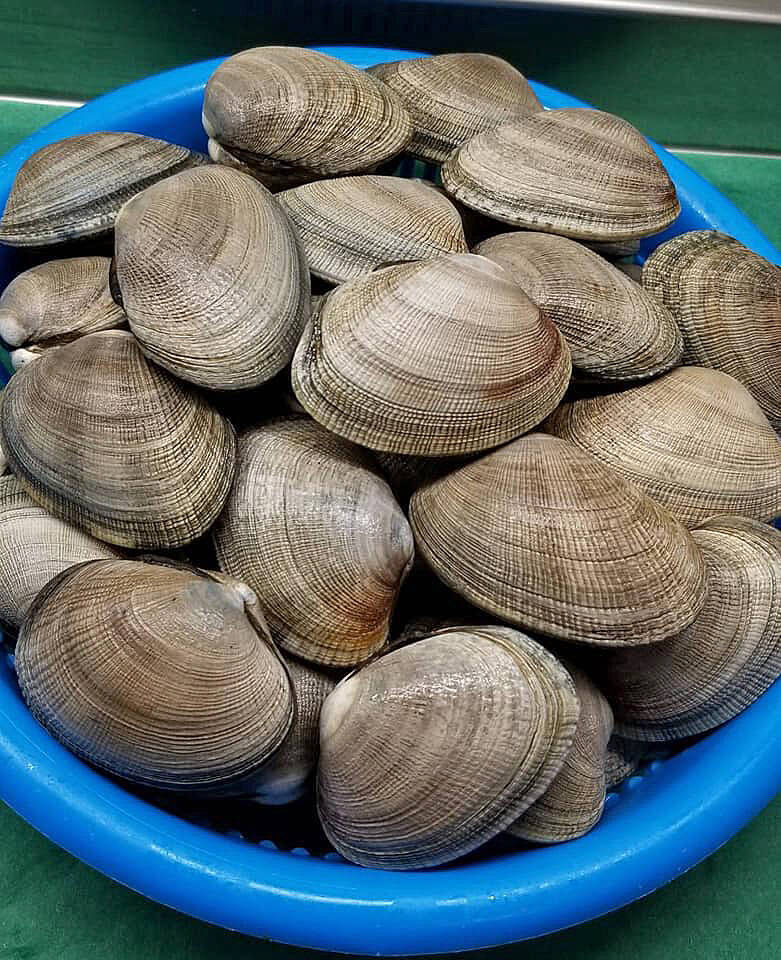 ddfbb6151b37a163bc52fca6f18fed