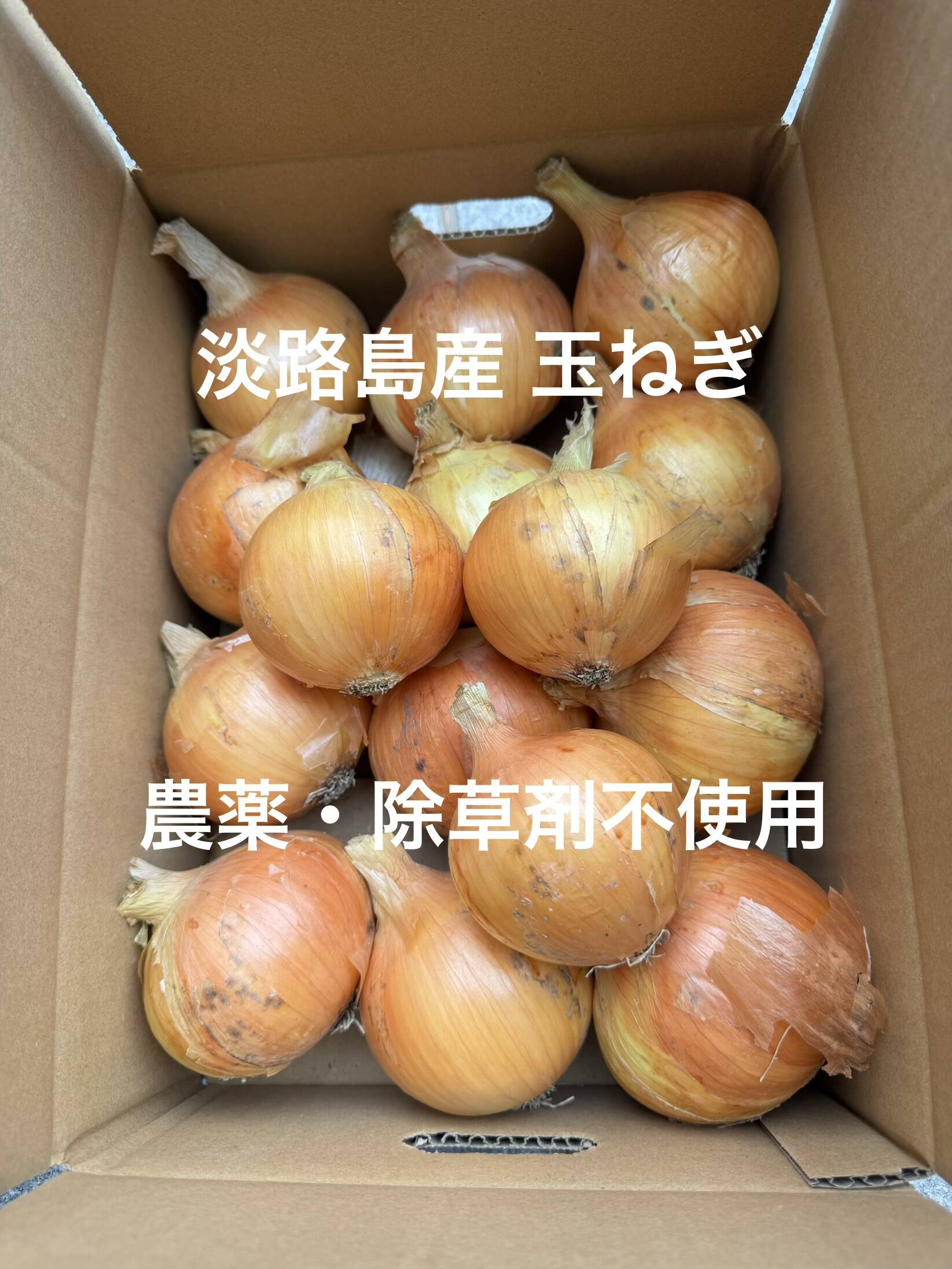 農薬、除草剤不使用！淡路島玉ねぎ2kg 【生で食べてみて！】加熱だけ