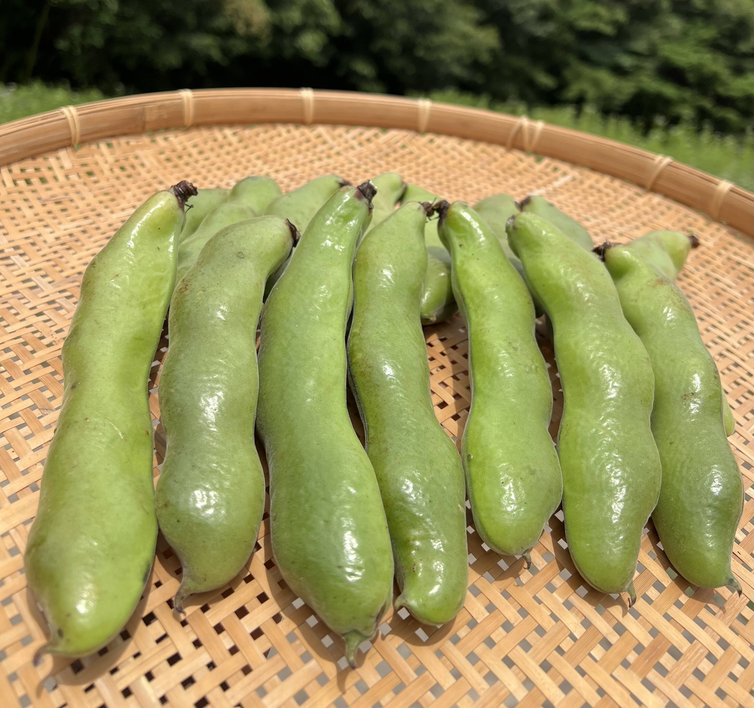 ✳️空そら空様専用商品♡ 見易