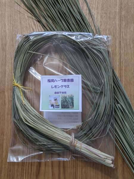 今年最後のレモングラス（ドライ）：福岡県産のレモングラス｜食べ