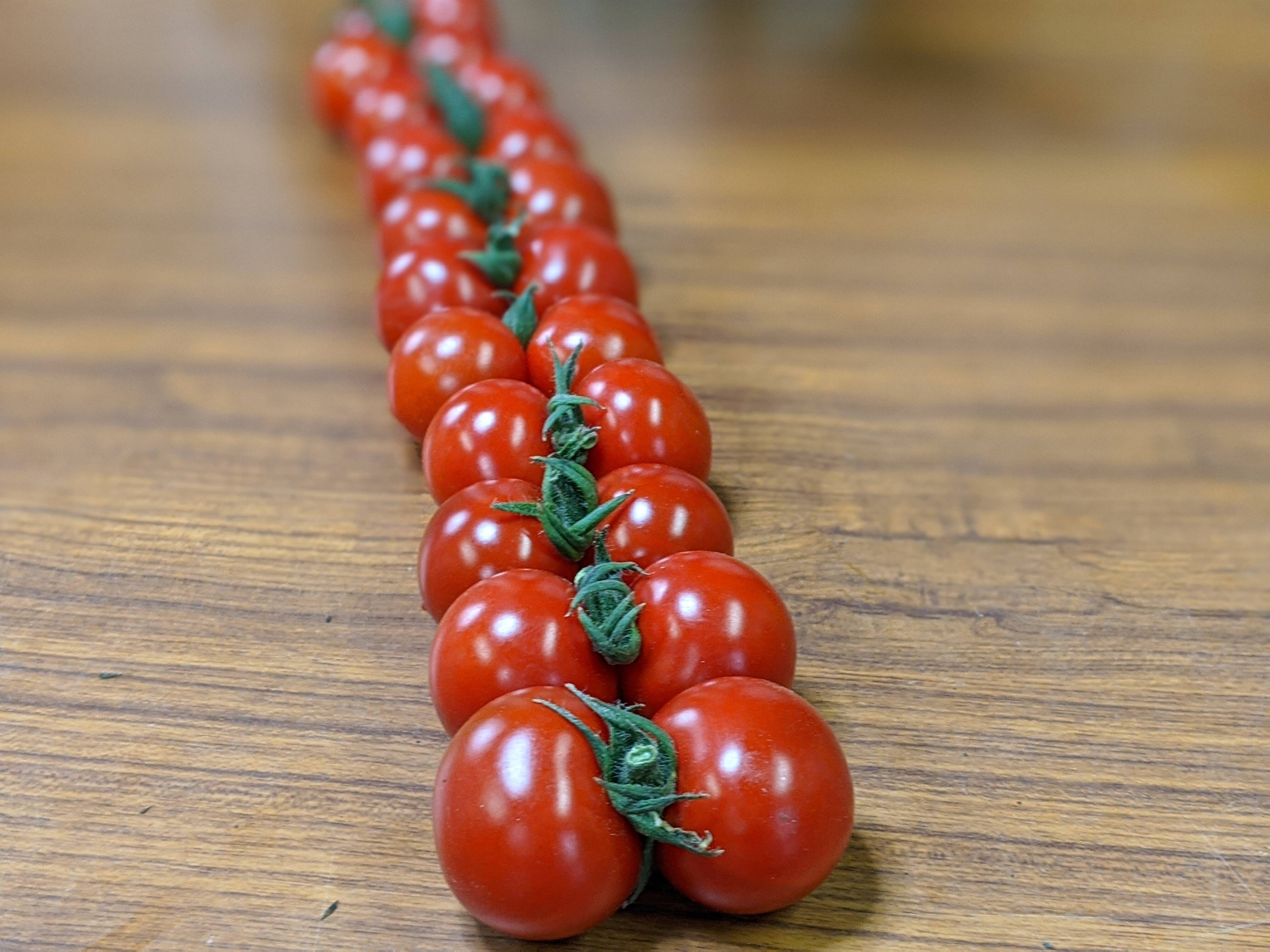 環境に優しい完熟フルーツミニトマト 和歌山県産のトマト 食べチョク 産地直送 産直 お取り寄せ通販 農家 漁師から旬の食材を直送