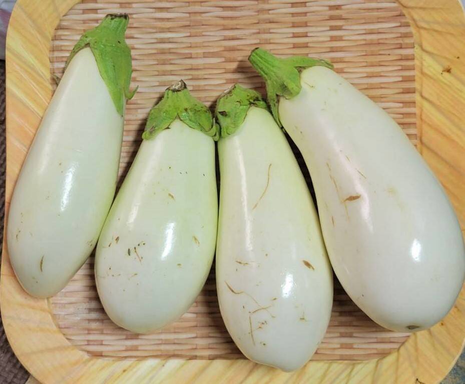 訳アリ お買い得!!】なす・白なす 食べ比べセット♪ 1kg：高知県産の