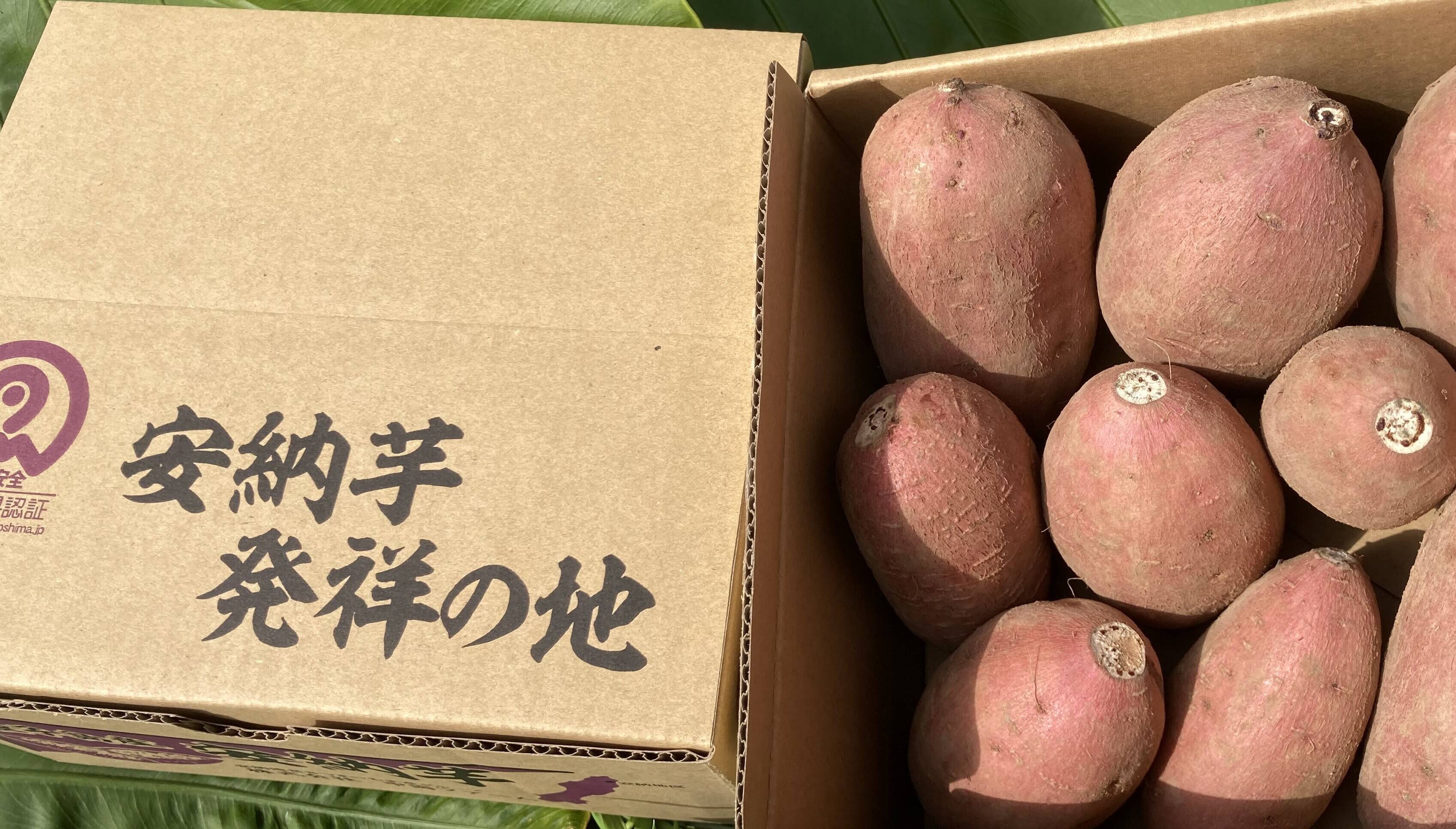 中園ファームの熟成安納芋（生芋） Mサイズ 2キロ：鹿児島県産の安納