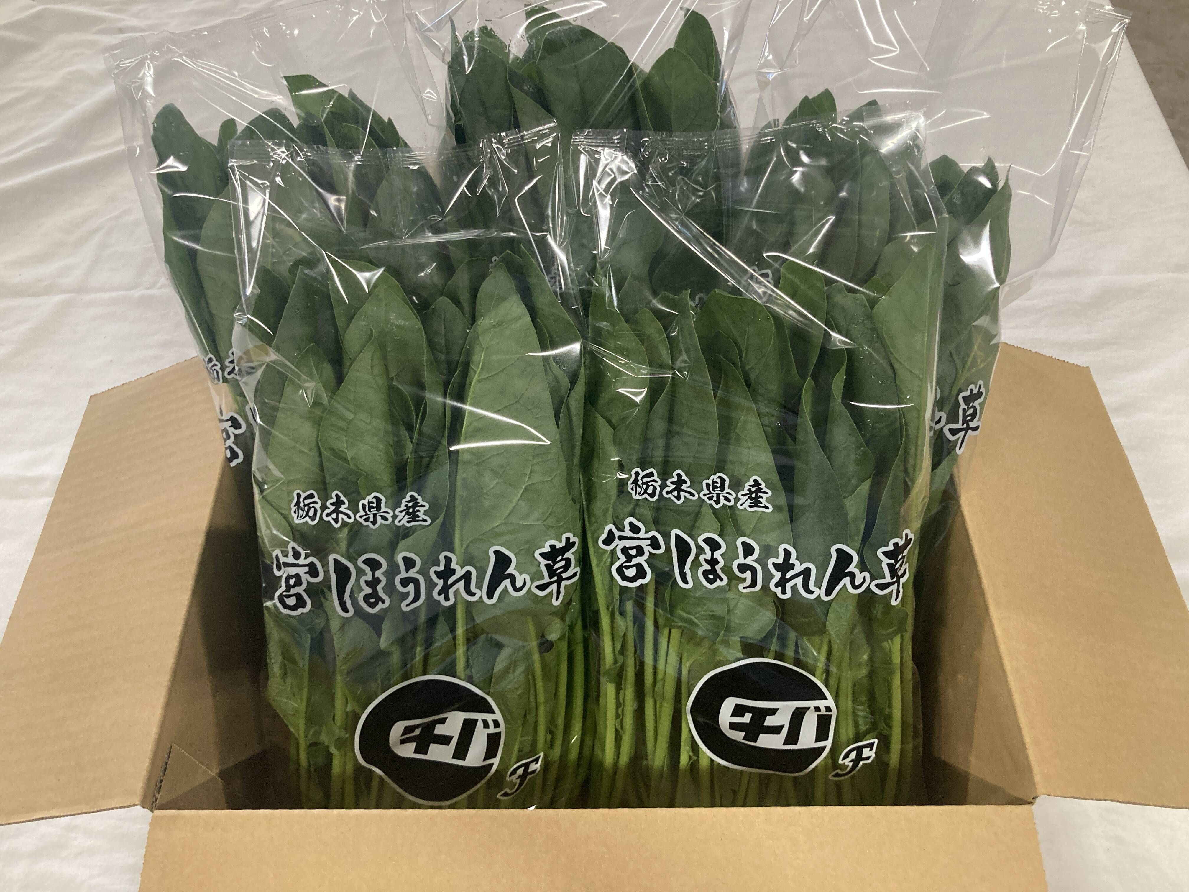 宮ほうれん草 200g 5袋入り：栃木県産のその他ほうれん草｜食べ
