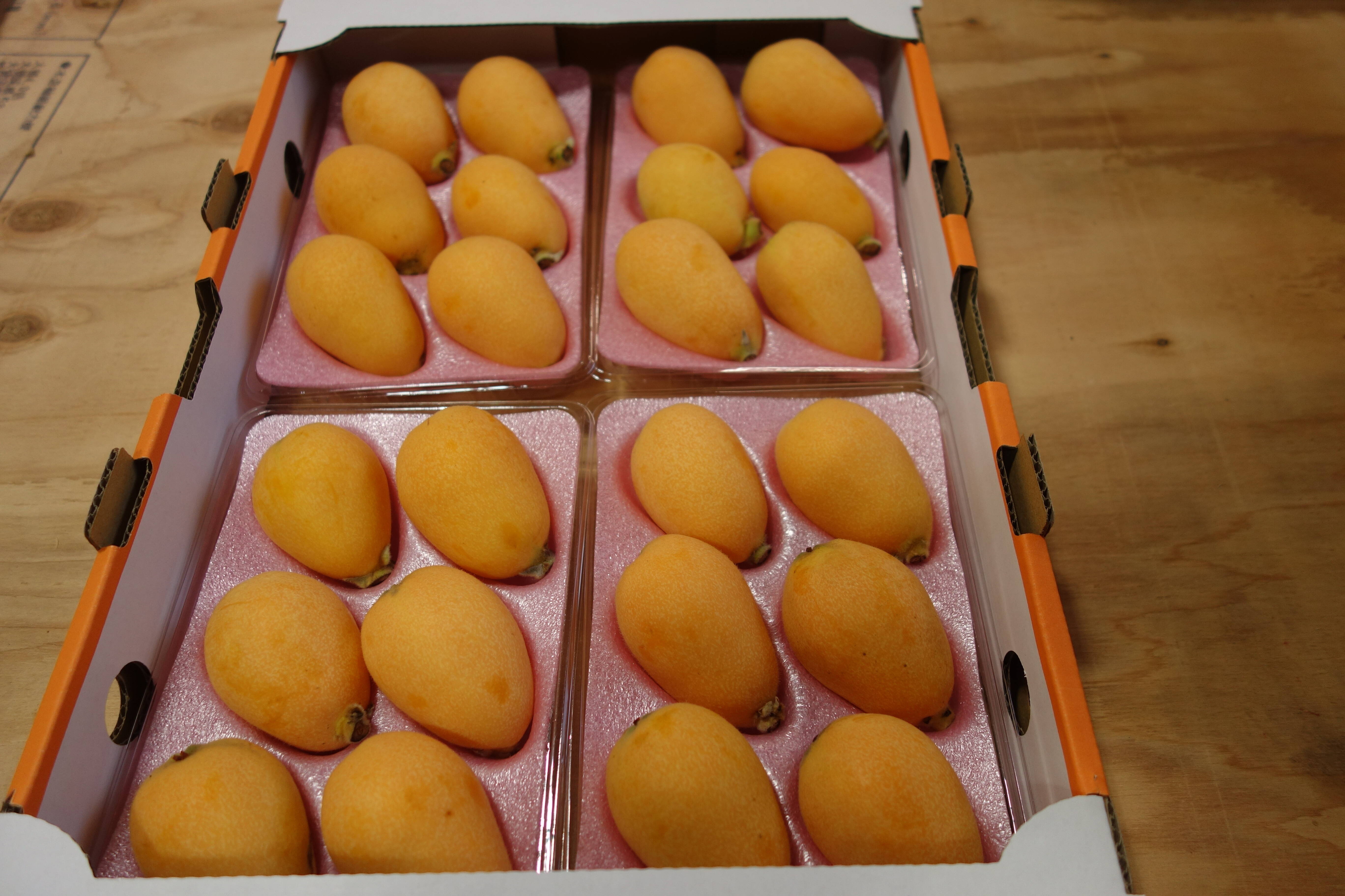 みずみずしい甘さは初夏の味！長崎市産露地びわ「千々（ちぢ）んびわ