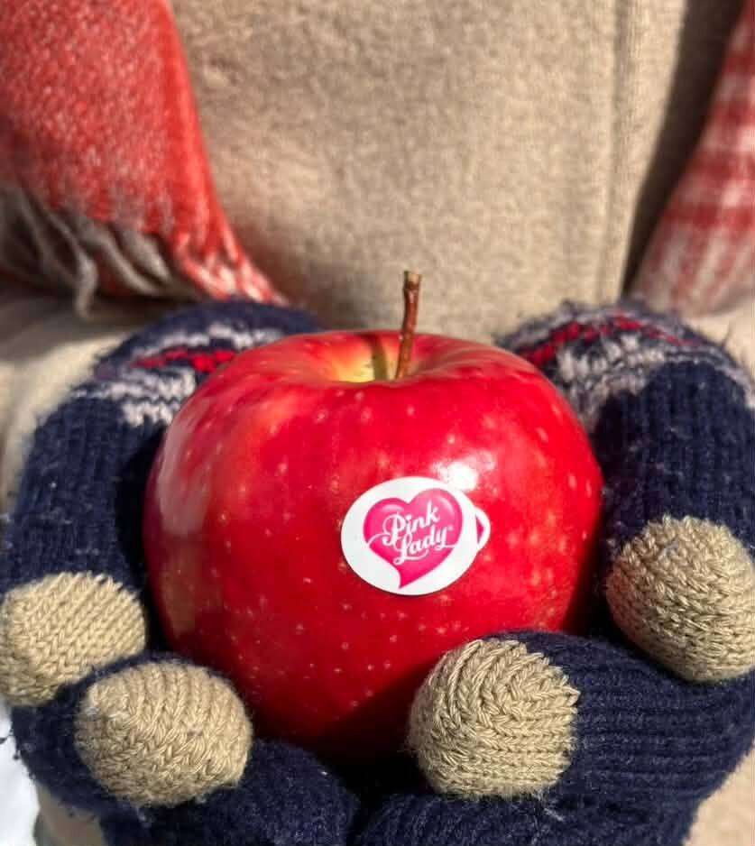 希少品種】ピンクレディー®10kg箱｜冬の終わりに一番おいしい“大人の