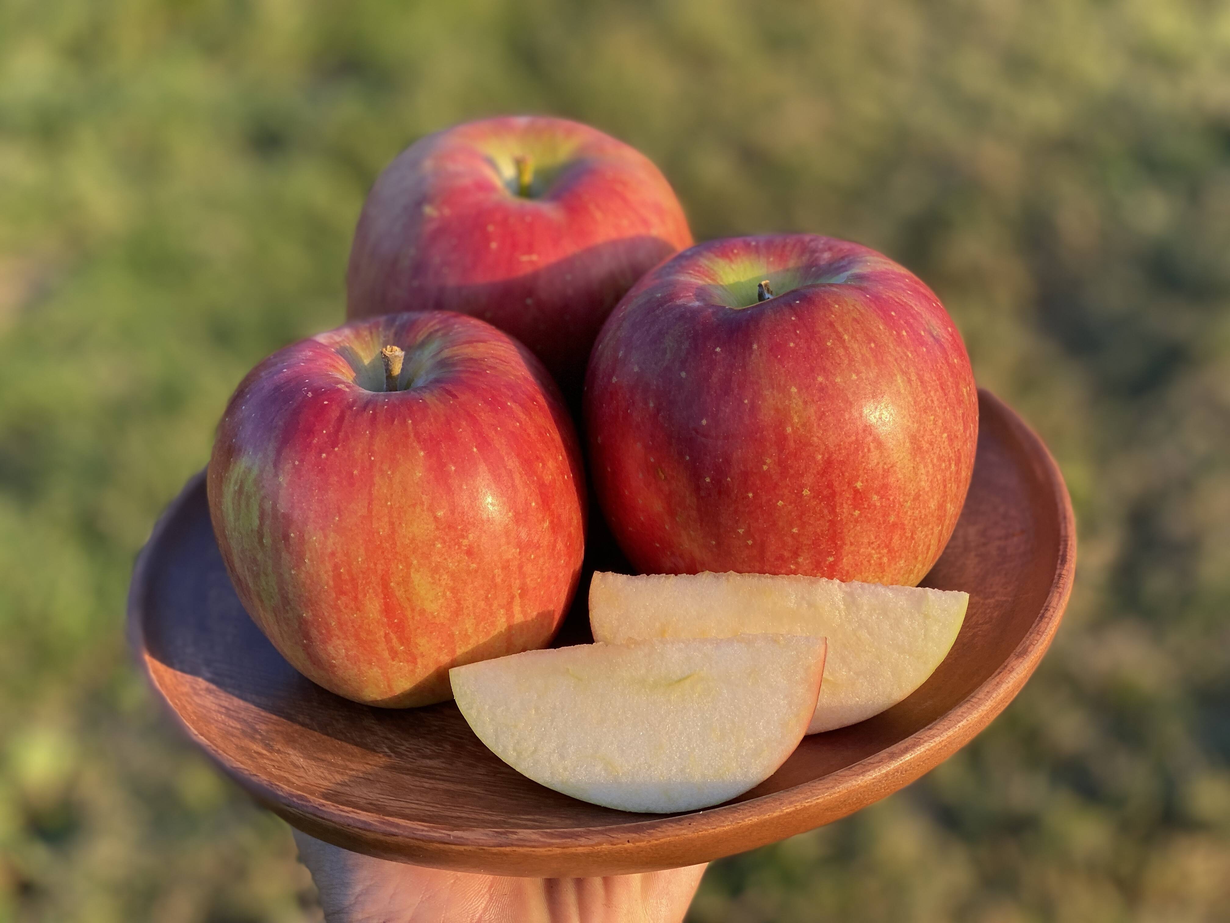 2026年予約】『シナノスイート』家庭用 ジュワッと甘〜い人気品種！3kg