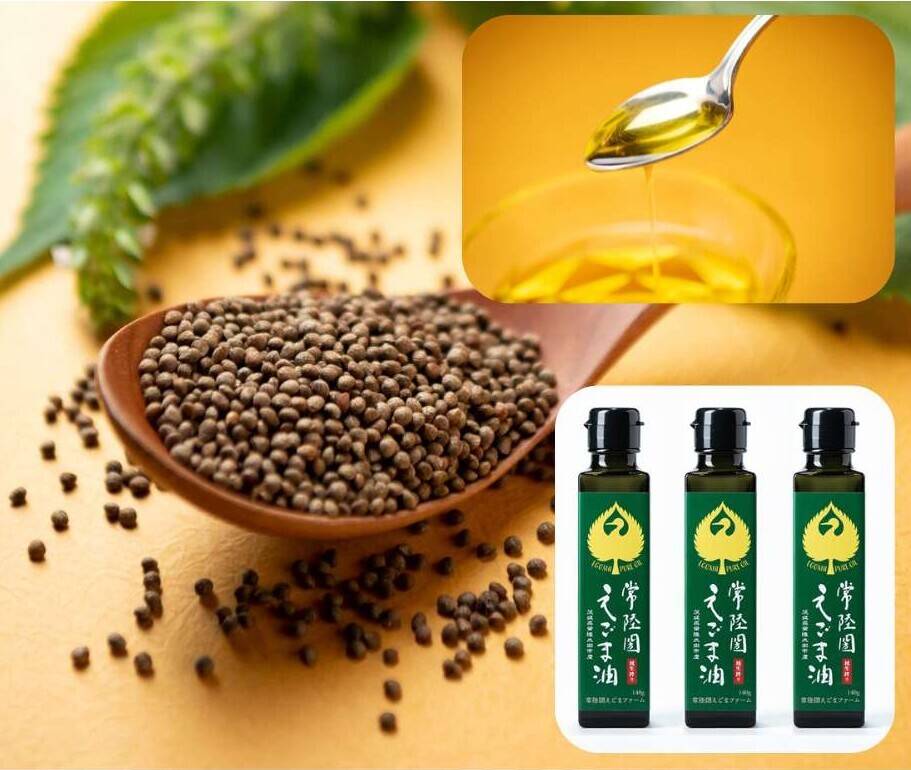 生搾り！『常陸圀えごま油』（ご家庭用・140g×3本）／非加熱圧搾法